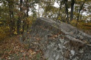 _MG_3808.JPG