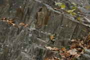 _MG_3809.JPG