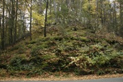 _MG_3822.JPG