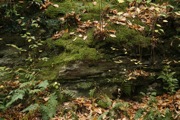 _MG_3823.JPG