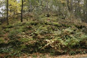 _MG_3825.JPG