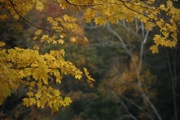 _MG_3827.JPG
