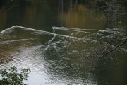 _MG_3828.JPG