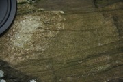 _MG_3834.JPG