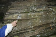 _MG_3835.JPG