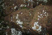 _MG_3838.JPG