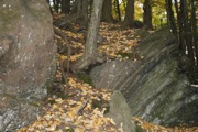 _MG_3839.JPG