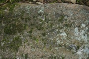 _MG_3800.JPG