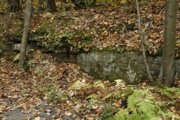 _MG_3801.JPG