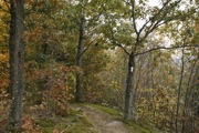 _MG_3803.JPG