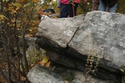 _MG_3806.JPG