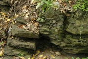 _MG_3747.JPG