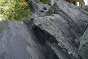 _MG_3225.JPG