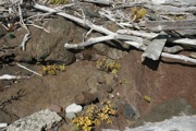 _MG_3264.JPG