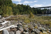 _MG_3269.JPG
