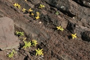 _MG_3286.JPG