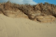 _MG_9420