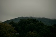 _MG_1817