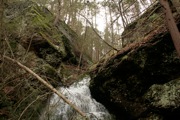 _MG_2863