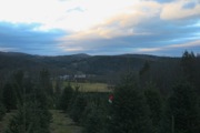 Ashfield_Stone - 29