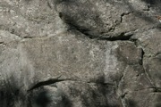 12_Cape_Cod - 15