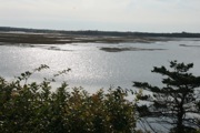 12_Cape_Cod - 43