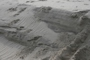 12_Cape_Cod - 51