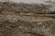 12_Cape_Cod - 55