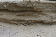 12_Cape_Cod - 56