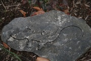 MacLeish - 11