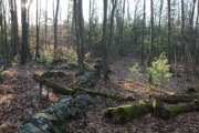 MacLeish - 03