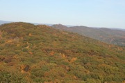 Mt.Tom2 - 26
