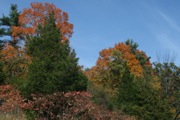 Mt.Tom2 - 05