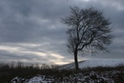 12_Quabbin_Day - 11