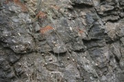 12_Quabbin_Day - 02