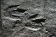 12_Quabbin_Day - 25