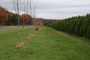 12_River_Road - 10