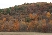 12_River_Road - 11
