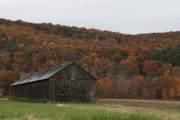 12_River_Road - 12