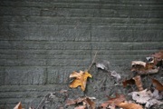 12_River_Road - 05