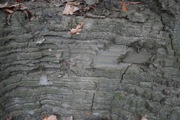 12_River_Road - 08