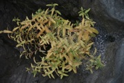 12_Turners_Falls - 01