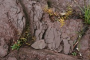 12_Turners_Falls - 13