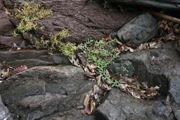 12_Turners_Falls - 22