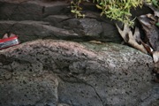 12_Turners_Falls - 23