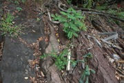 12_Turners_Falls - 25