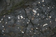 12_Turners_Falls - 28