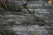 12_Turners_Falls - 05