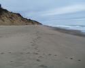 nauset04.jpg