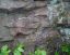 outcrop1a.jpg